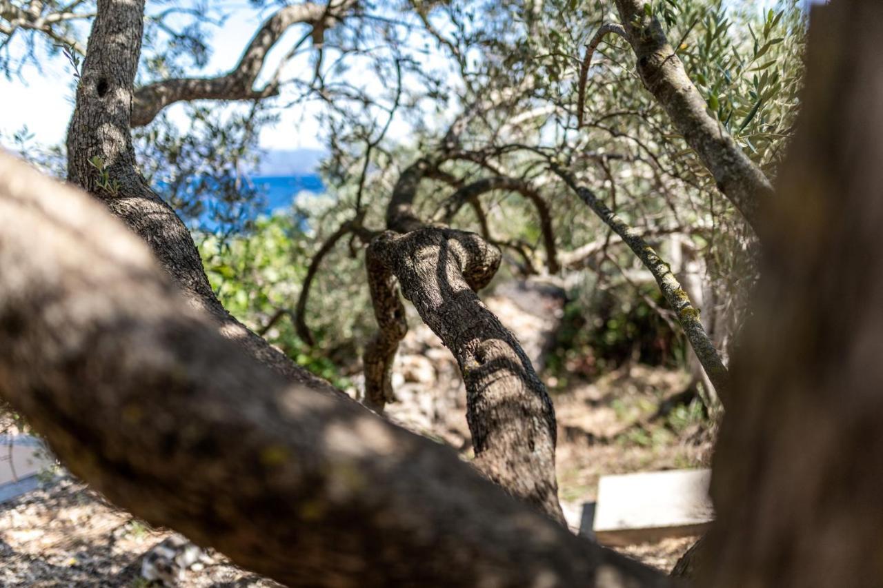 Olive'S Garden House Villa Vela Luka Eksteriør billede