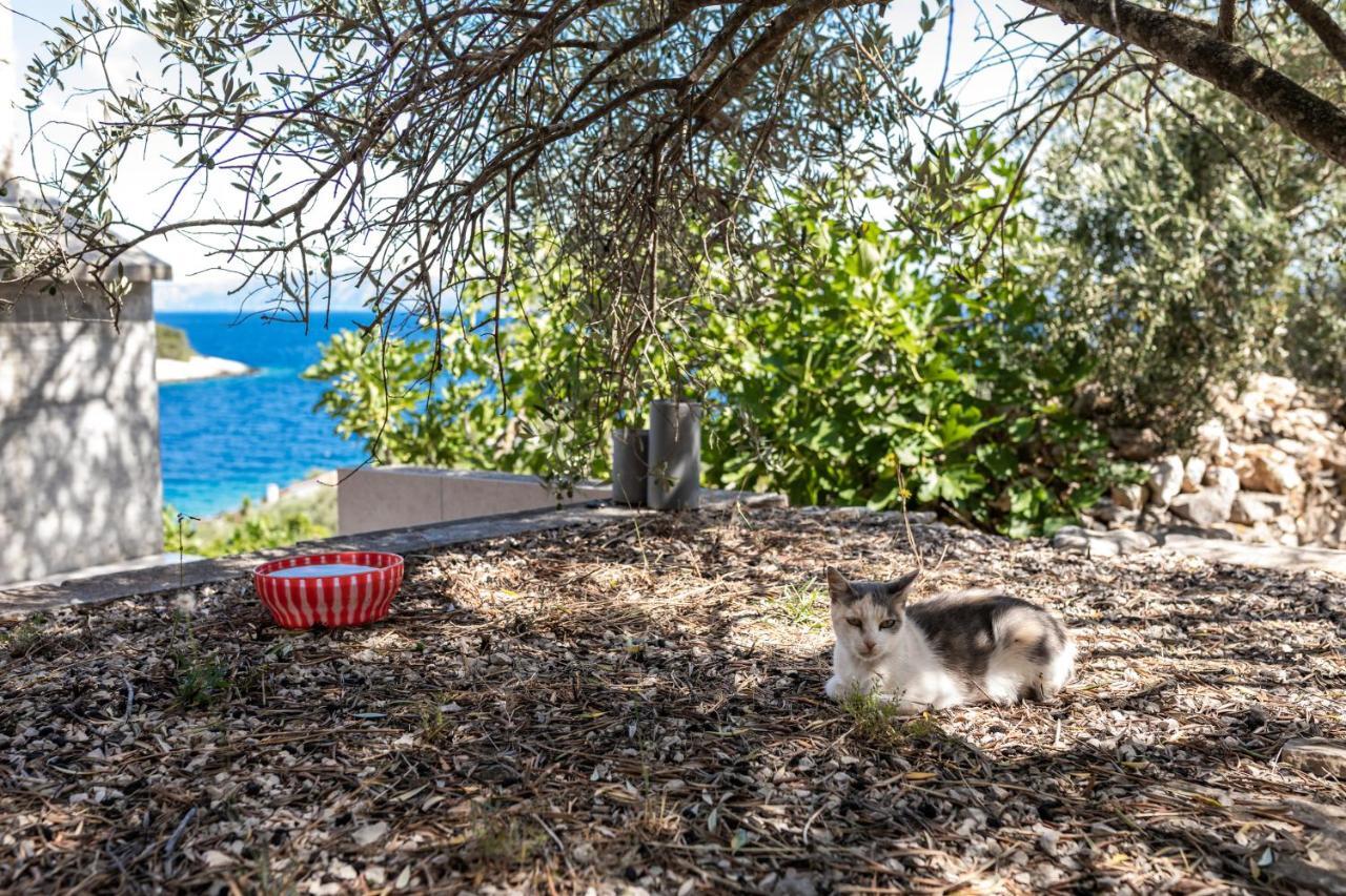 Olive'S Garden House Villa Vela Luka Eksteriør billede